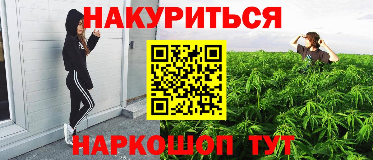 Клинцы  Шишки марихуана SATIVA & INDICA  Конопля OG Kush  Каннабис семена  Вход с VPN  Конопля план 